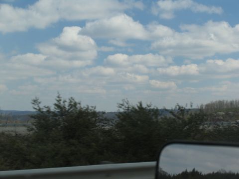 1995 Ford C-350 (Centurion Conversions) - Reflection in the side mirror of a vehicle shows trees and clouds.