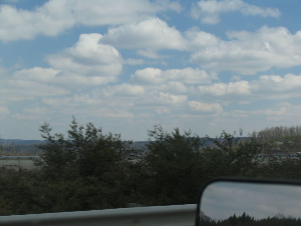 Side mirror reflection showing trees and sky