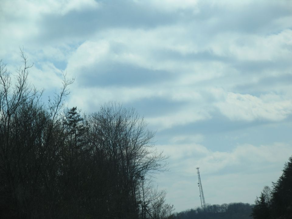 Cell tower on a wooded hill under a cloudy sky