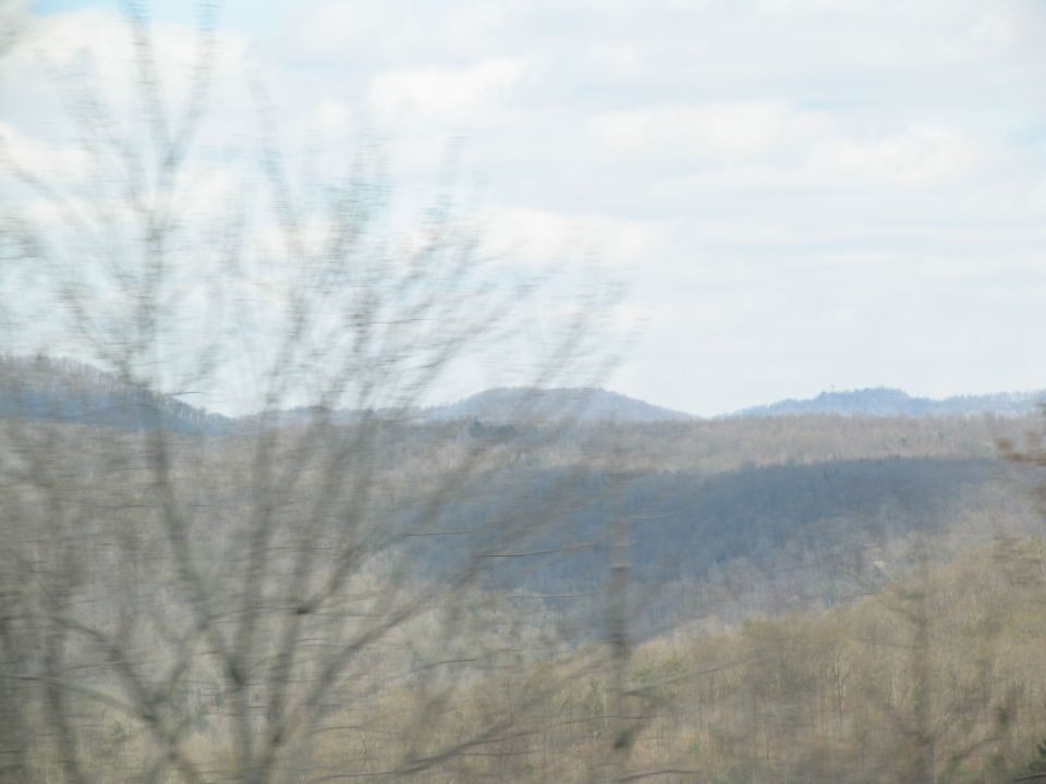 Hazy view of rolling hills and bare trees under a cloudy sky