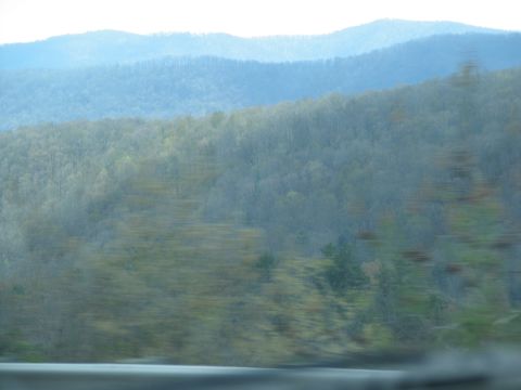 1995 Ford C-350 (Centurion Conversions) - A blurry view of hills and trees suggests a moving vehicle captured this landscape.