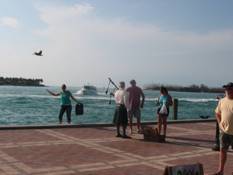 1991 Ford Bronco - A group of people stand on a pier, with boats moving in the water behind them.