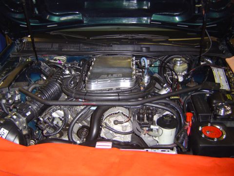 1995 Ford Thunderbird - Custom engine bay features a polished aluminum supercharger with 'ALLEN' branding, indicating aftermarket modifications.
