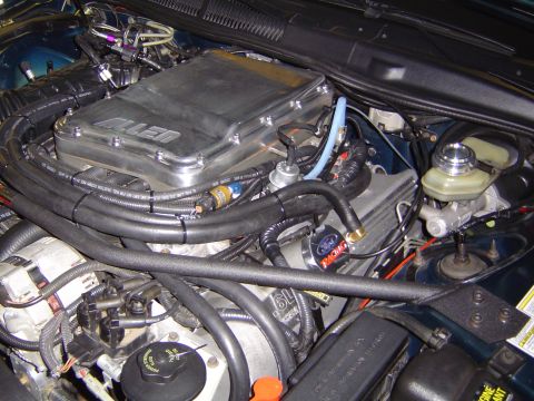 1995 Ford Thunderbird - Close-up of an engine bay an Allen supercharger and Ford Racing components.