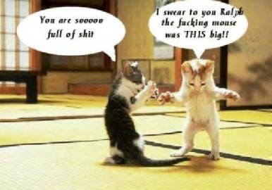 1988 Mercury Grand Marquis - A humorous meme two cats engaged in a conversation with speech bubbles.