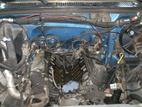 1984 Ford Bronco - The engine bay shows a V-configuration engine with exposed wiring and blue painted components.