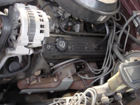 1983 Ford Bronco - here is the drivers side when i started.