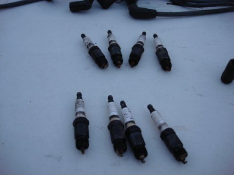 1983 Ford Bronco - here are the old plugs again all seemed to be burning correctly.