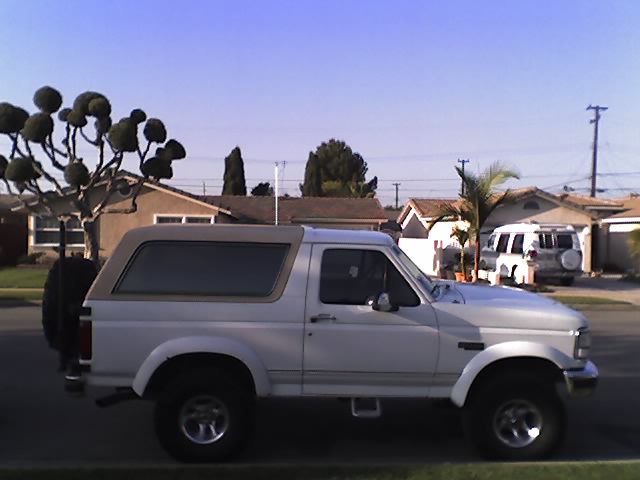 White Ford Bronco, side view, with spare tire on rear. Tan roof. Suburban neighborhood