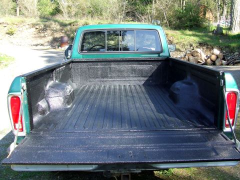 1977 Ford F-150 photo