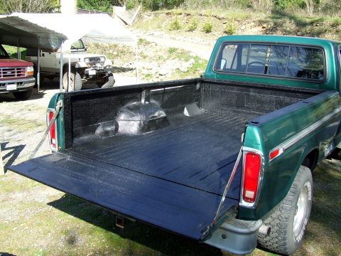 1977 Ford F-150 photo
