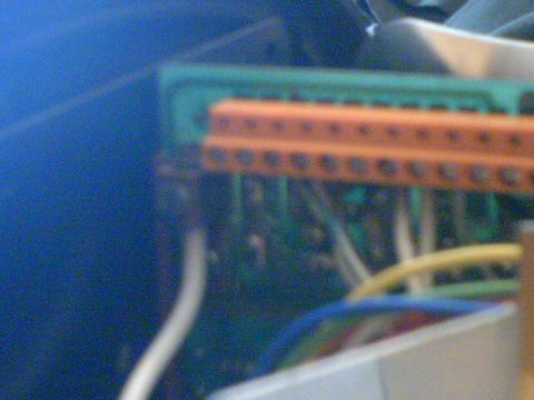 1991 Ford Crown Victoria - This image shows a close-up of an electrical connector with multiple wires, likely from a vehicle's wiring harness.