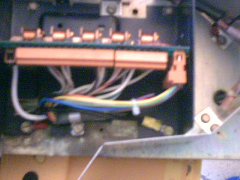 1991 Ford Crown Victoria - Wiring harness and connectors, likely from a vehicle's electrical system.
