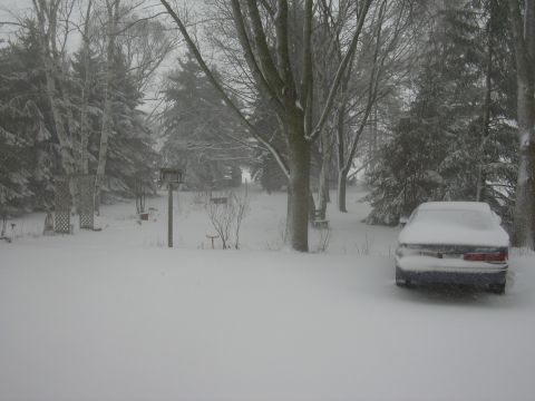 1996 Ford Crown Victoria - A car is parked in a yard during a snowstorm, with trees and bird feeders visible.
