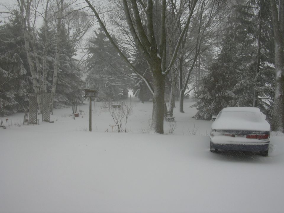 car covered in snow, parked in a snowy yard with trees