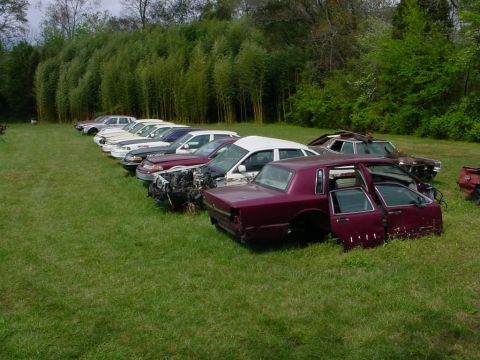 1972 Ford Ranchero - Multiple vehicles are parked in a grassy area with a line of trees in the background.