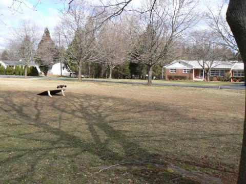 1994 Ford Bronco - A remote control car is positioned on a jump ramp in a grassy yard.