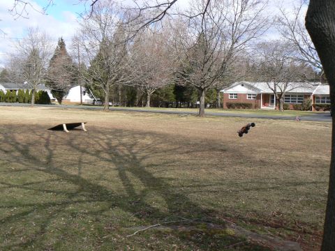 1994 Ford Bronco - A remote control car is captured mid-flight over a lawn, with a ramp visible in the distance.