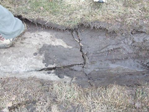 1990 Ford Bronco - The ground shows significant cracking and appears wet and muddy, with grass bordering the area.