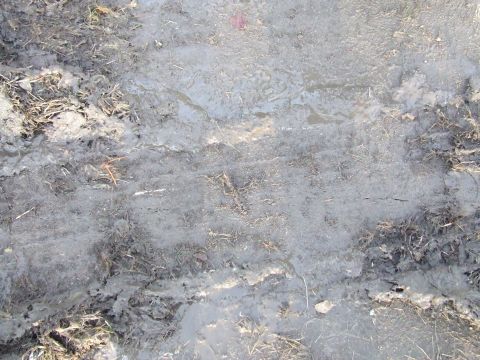 1990 Ford Bronco - Tire tracks in mud suggest vehicle activity, but no vehicle is visible.