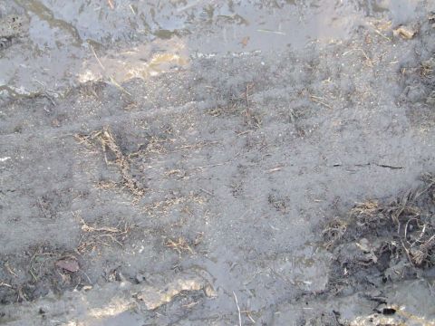 1990 Ford Bronco - Tire tracks are visible in the mud, suggesting recent vehicle activity in the area.