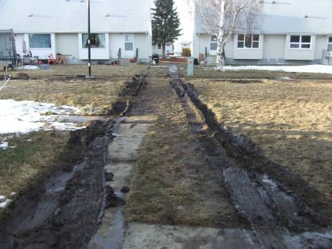 1990 Ford Bronco - Tire tracks deeply gouged into the lawn and sidewalk, indicating recent vehicle activity.