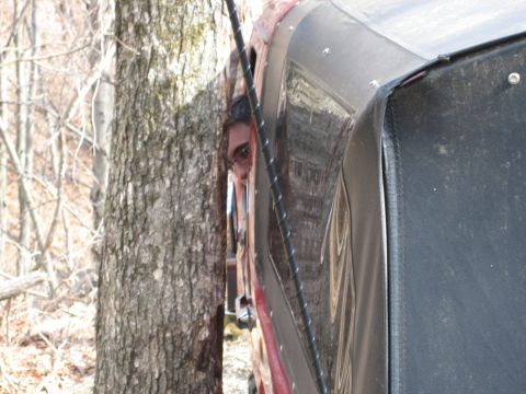 1990 Ford Bronco - A person is visible through the window of a vehicle that is very close to a tree.