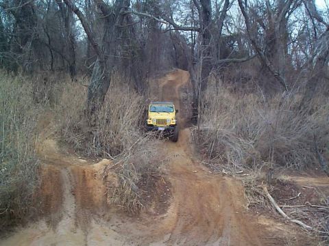 1978 Ford Bronco - A yellow Jeep Wrangler navigates a muddy, wooded trail.