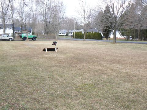 1994 Ford Bronco - A green SUV and a silver pickup truck are parked in a yard where a remote control car is airborne over a ramp.