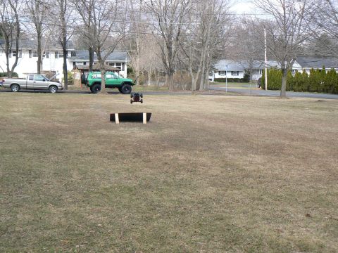 1994 Ford Bronco - A remote control car is captured mid-jump over a ramp in a grassy yard with two full-size vehicles in the background.
