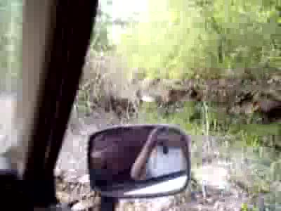 1984 Toyota 4Runner