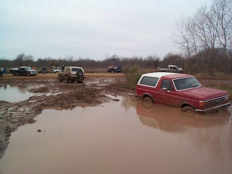 1978 Ford Bronco - Several vehicles are stuck in the mud during an off-road event.