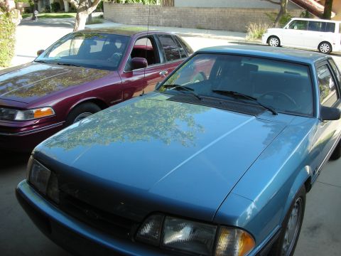 1992 Ford Crown Victoria - Two cars, a blue Mustang and a maroon Crown Victoria, are parked in a driveway with a white SUV in the background.