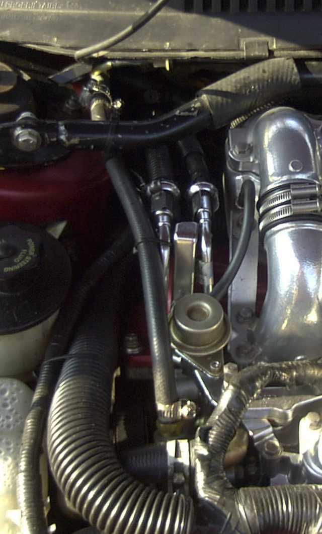 New black power steering high pressure hose routed in an engine bay