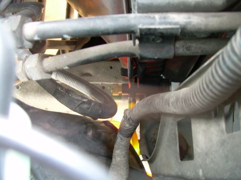 1997 Ford F-150 - Engine bay hoses and wiring are visible, some protected by corrugated tubing.