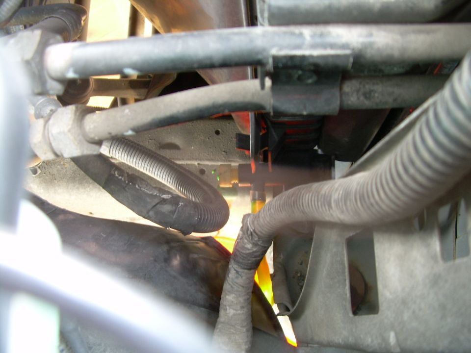 Close-up of engine bay hoses and wiring harness, some with protective corrugated tubing