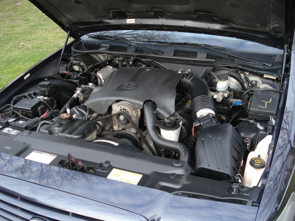 Clean Ford modular V8 engine bay in a dark blue sedan with hood open