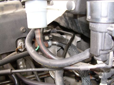 1997 Ford F-150 - Engine bay view showing various hoses, wiring, and a white fluid reservoir.