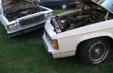 1991 Ford Crown Victoria LTD - Two cars with hoods open are parked on grass, with jumper cables connecting them.