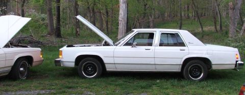 1991 Ford Crown Victoria LTD - Two sedans sit in a grassy area with their hoods raised, revealing their engines.