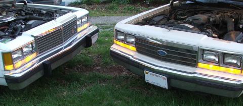 1991 Ford Crown Victoria LTD - Two white Ford Crown Victorias are parked side-by-side with their hoods open, revealing their engines.