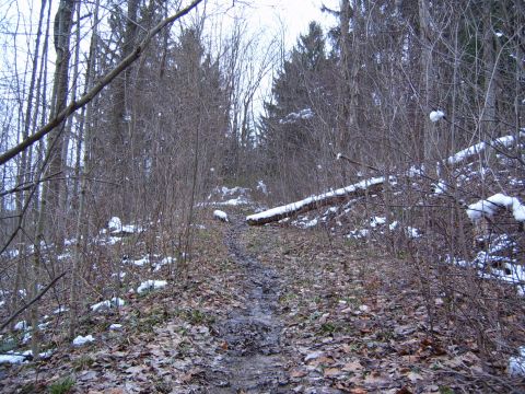 1993 Ford Bronco - A muddy forest path winds through bare trees, with a fallen log covered in snow to the right.