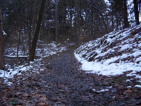 1993 Ford Bronco - A winter scene shows a path winding through trees with snow on the ground.