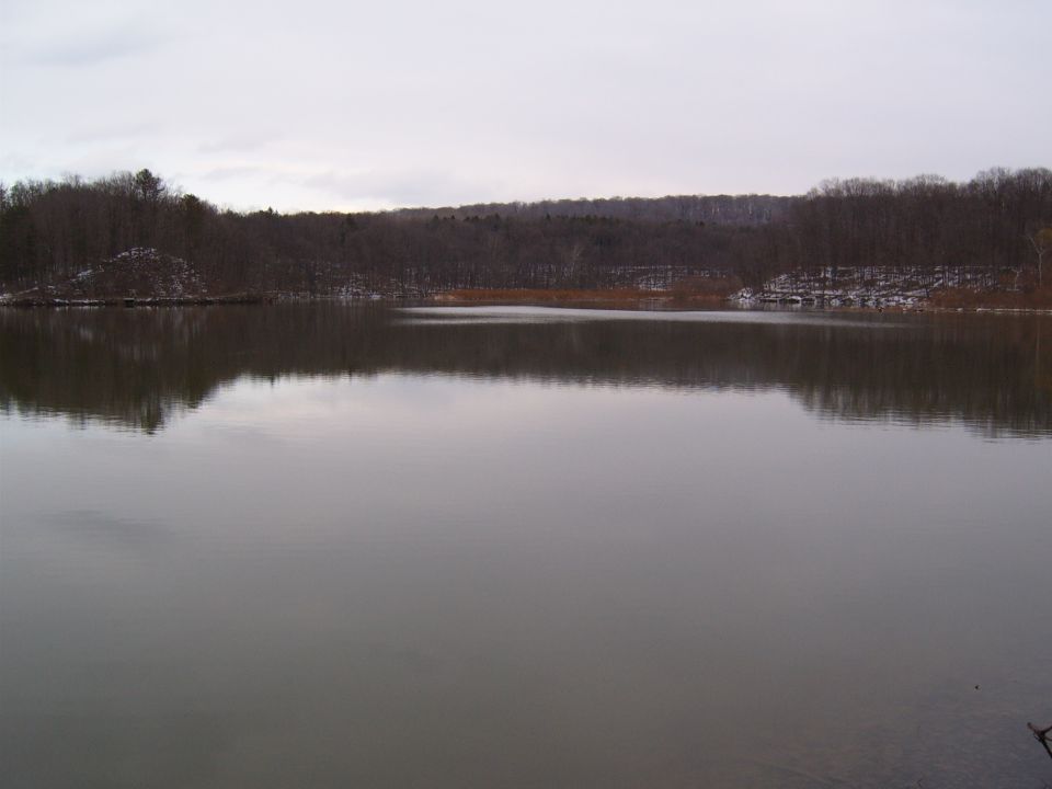 Calm lake reflects bare trees and overcast sky on a winter day