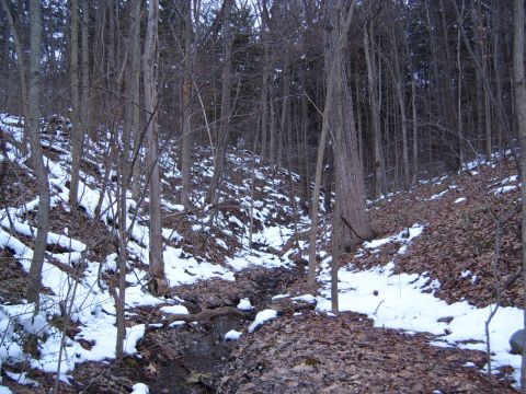 1993 Ford Bronco - Winter scene in a wooded area with snow patches and a small stream.