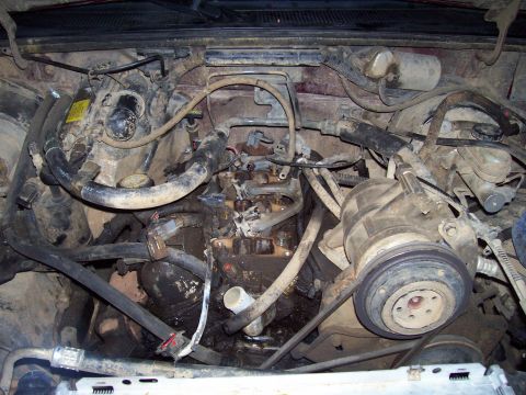 1989 Ford Bronco II - View of a cluttered and dirty engine bay, showing various hoses, belts, and engine components.