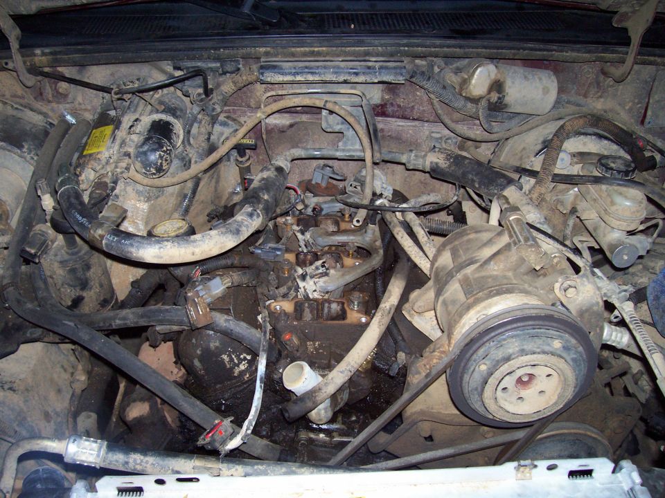 Engine bay with hoses and belts