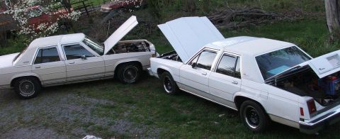 1991 Ford Crown Victoria LTD - Two 1991 Ford Crown Victorias are parked side-by-side with their hoods open.