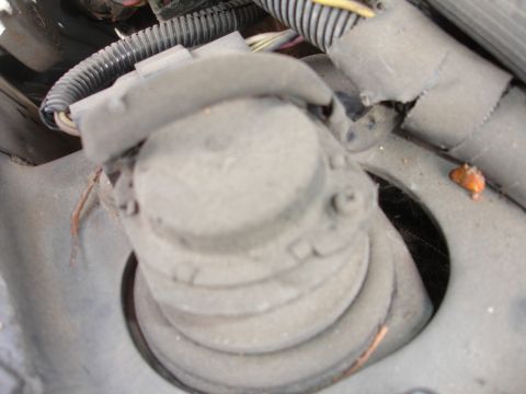1993 Ford Taurus - Close-up view of an engine component and associated wiring harness.