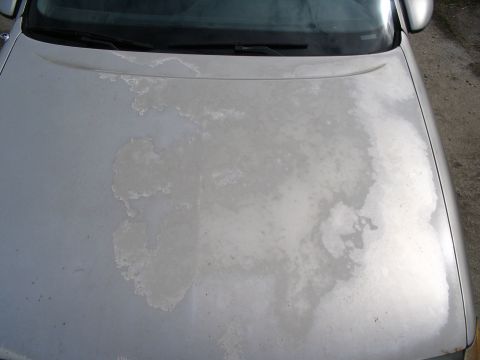 1993 Ford Taurus - The paint on this car hood is severely damaged, showing extensive peeling and discoloration.
